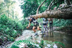 BIB: 
                            <button type="button" onclick="openModal(25445238)" class="btn btn-primary btn-sm float-right btn-popup" data-toggle="modal" data-target=".modal-high-quality">
                        <i class="fas fa-shopping-cart"></i> Add to Cart
                    </button>
                                            <button type="button" onclick="isThisMe(25445238, true)" class="btn btn-success btn-sm float-right btn-popup btn-isme hidden" data-toggle="tooltip" data-placement="bottom" title="นี่คือรูปของคุณใช่ไหม คลิกที่นี่เพื่อเอาเข้าอัลบั้ม">
                        <i class="fas fa-plus"></i> Add to album
                    </button>
                    <button type="button" onclick="isThisMe(25445238, false)" class="btn btn-warning btn-sm float-right btn-popup btn-isnotme hidden">
                        <i class="fas fa-ban"></i> Remove from album
                    </button>